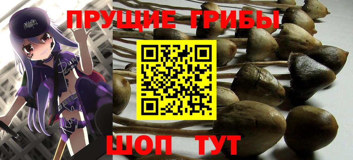 Гашиш  Кетамин  Вход с VPN  МДМА  Цена  МАРИХУАНА  Ахтубинск  Меф МЯУ МЯУ  