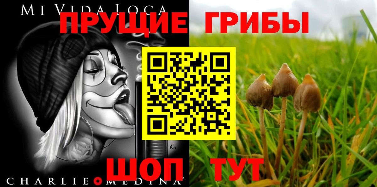 Галлюциногенные грибы ЛСД Ахтубинск